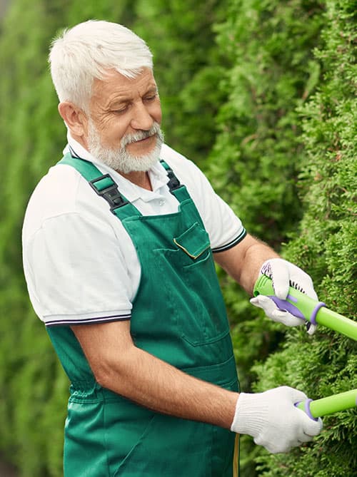 Kleingärtnerverein Beerenkamp e.V. Hauptmotiv