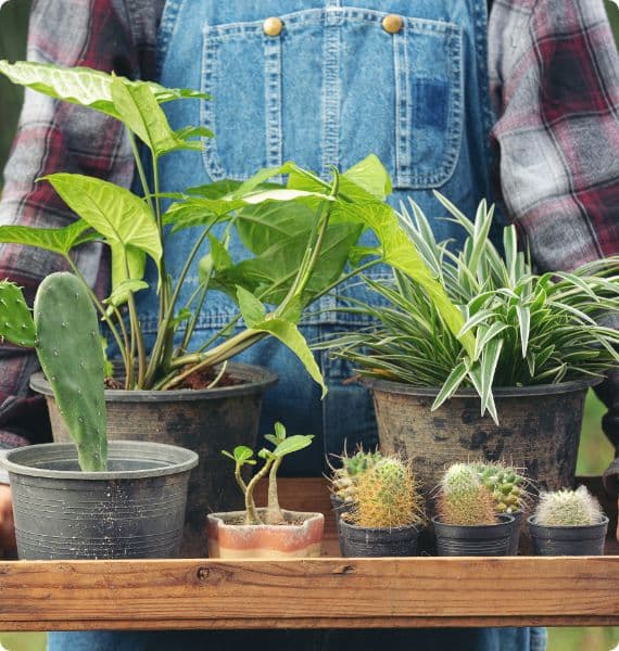 Kleingärtnerverein Beerenkamp e.V. Galerie