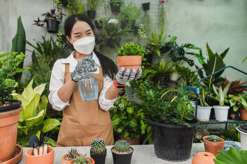 Kleingärtnerverein Beerenkamp e.V. Galerie